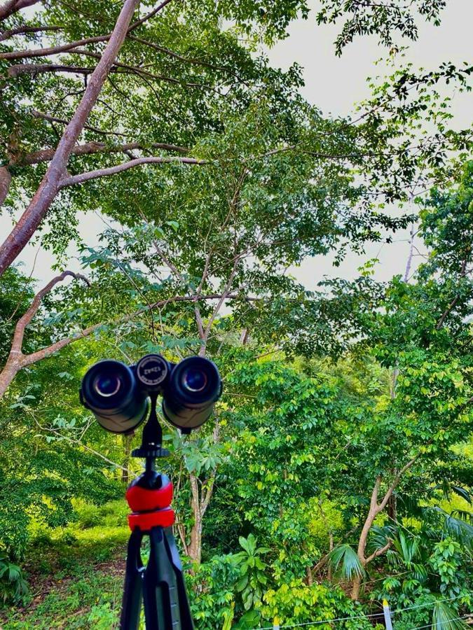 Ecowasi Veras * Capurgana