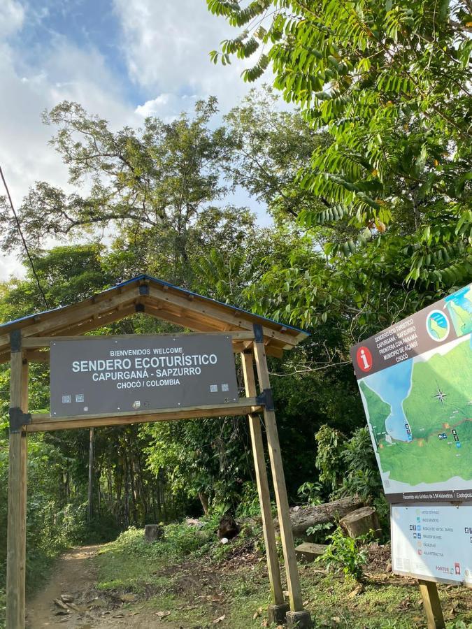 Ecowasi Veras